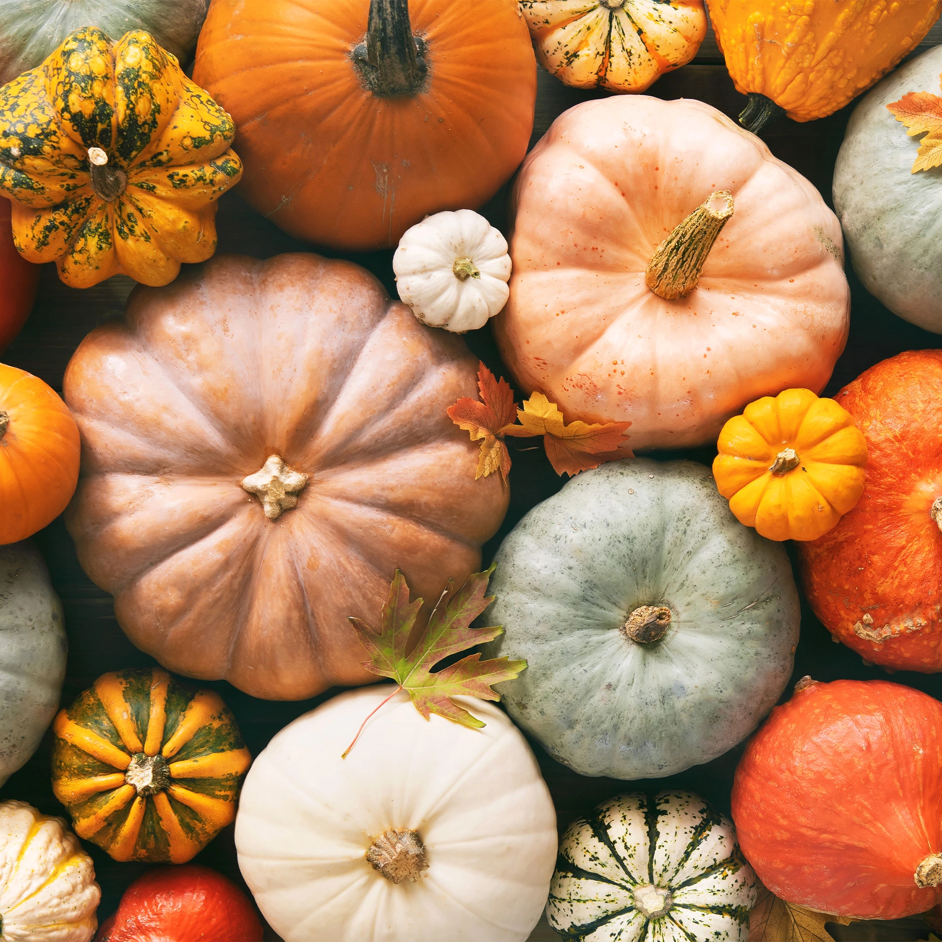 What’s on this month: October